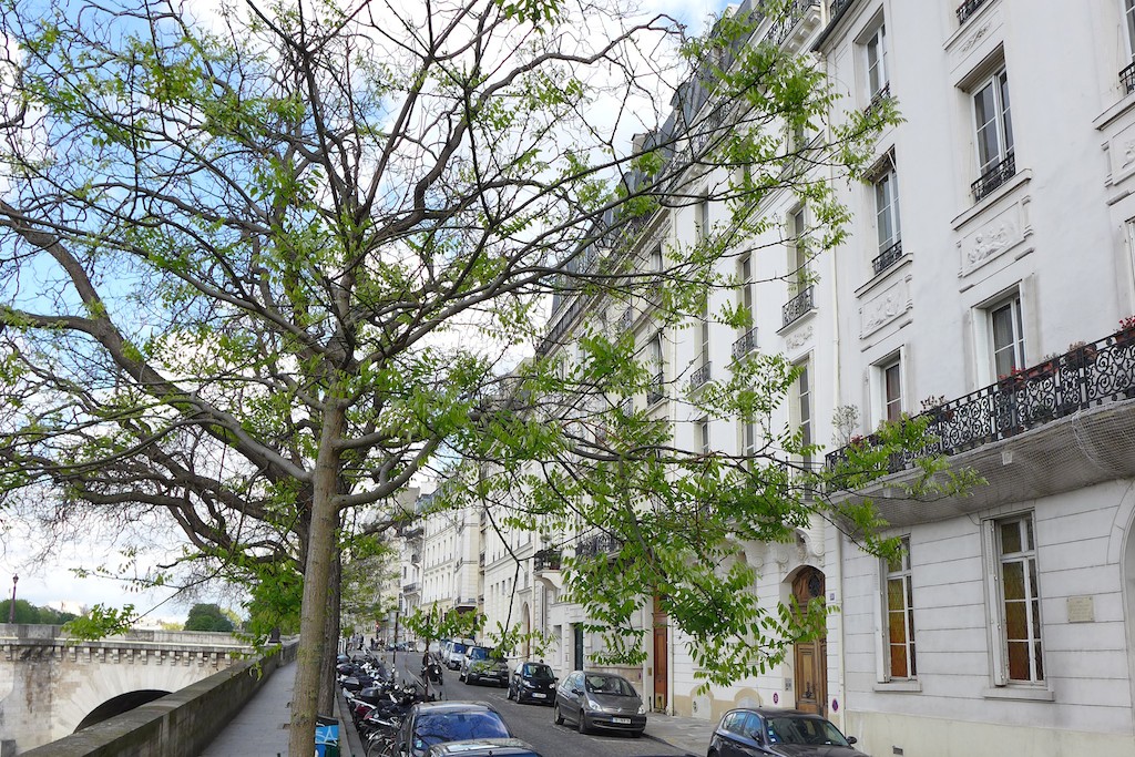 Ile saint louis - The quai de Bethune towards west