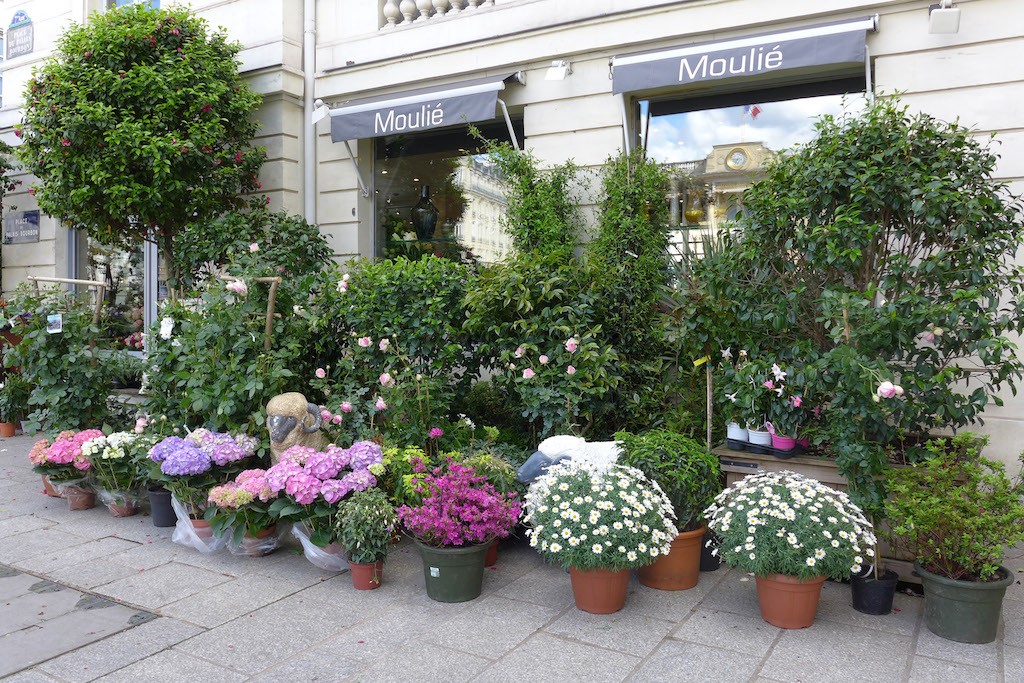 Moulie Flower Shop Paris Place du Palais Bourbon