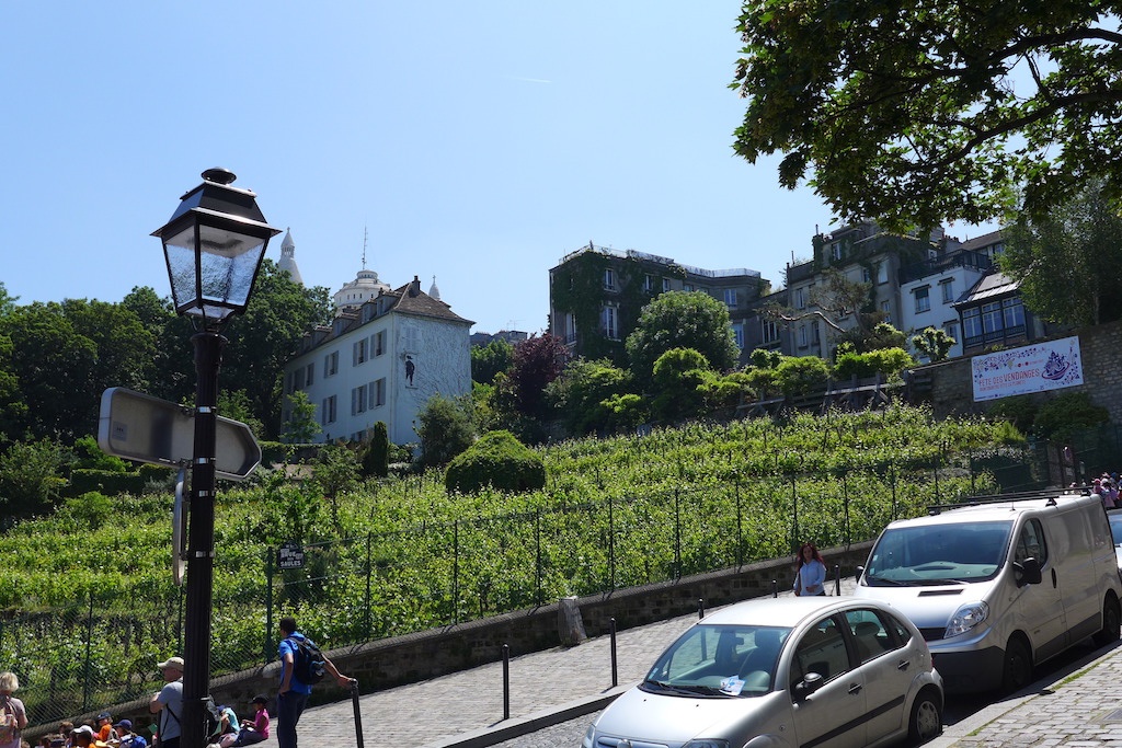 Montmartre- Vineyard - Le Clos Montmartre