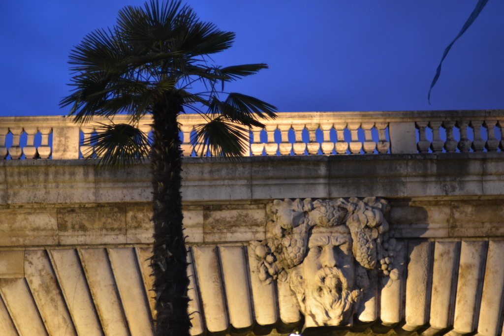 Paris Plages : a palm tree in front of the Pont Notre Dame