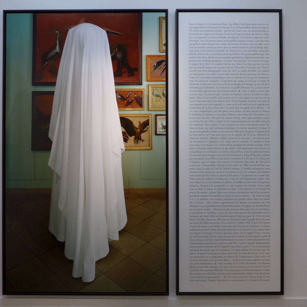 Sophie Calle - L Ours