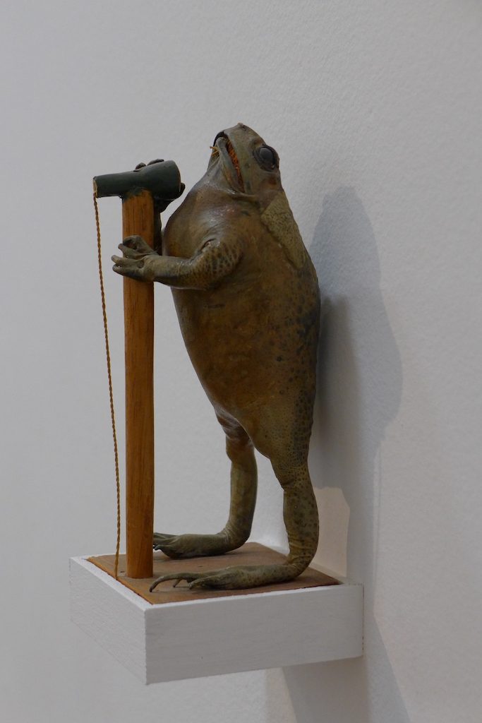 Sophie Calle - Crapaud chanteur