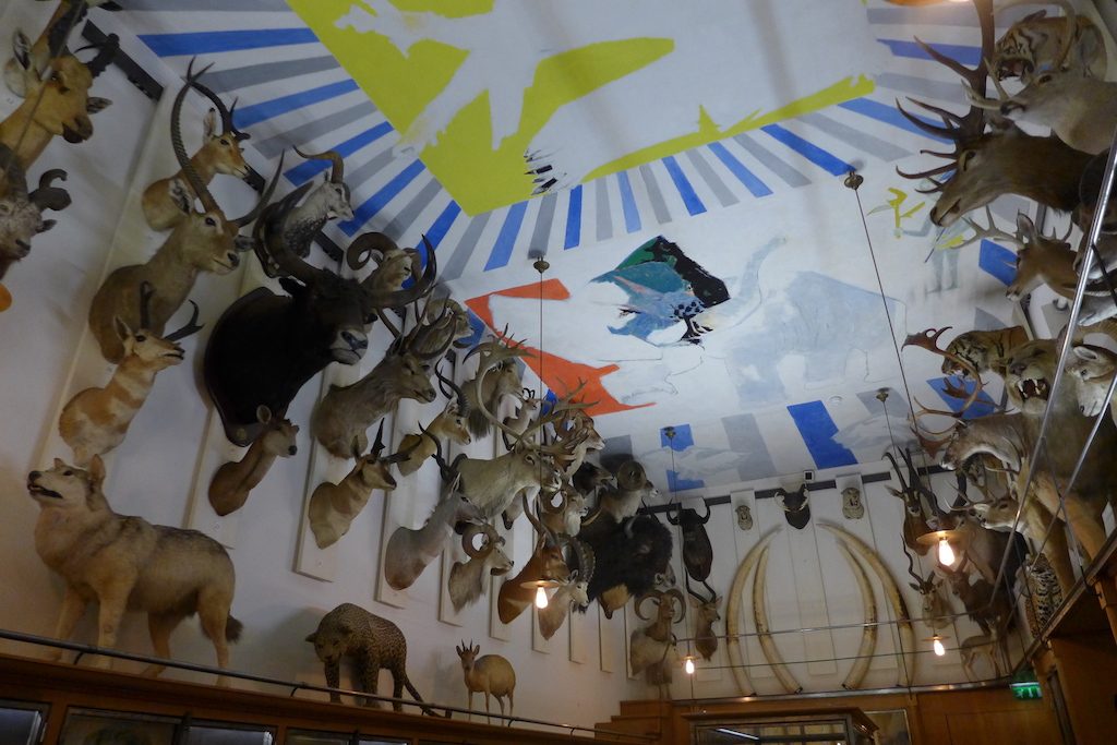 Musee de la chasse et de la nature - Salle des Trophées