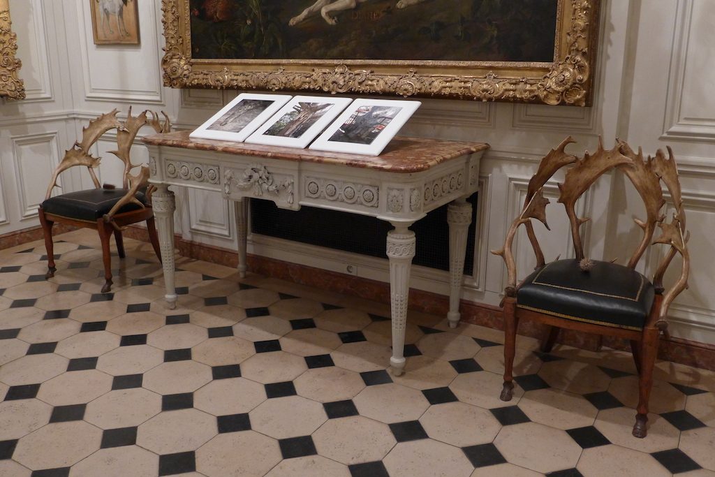 Musee de la chasse et de la nature - Refined floor and furniture