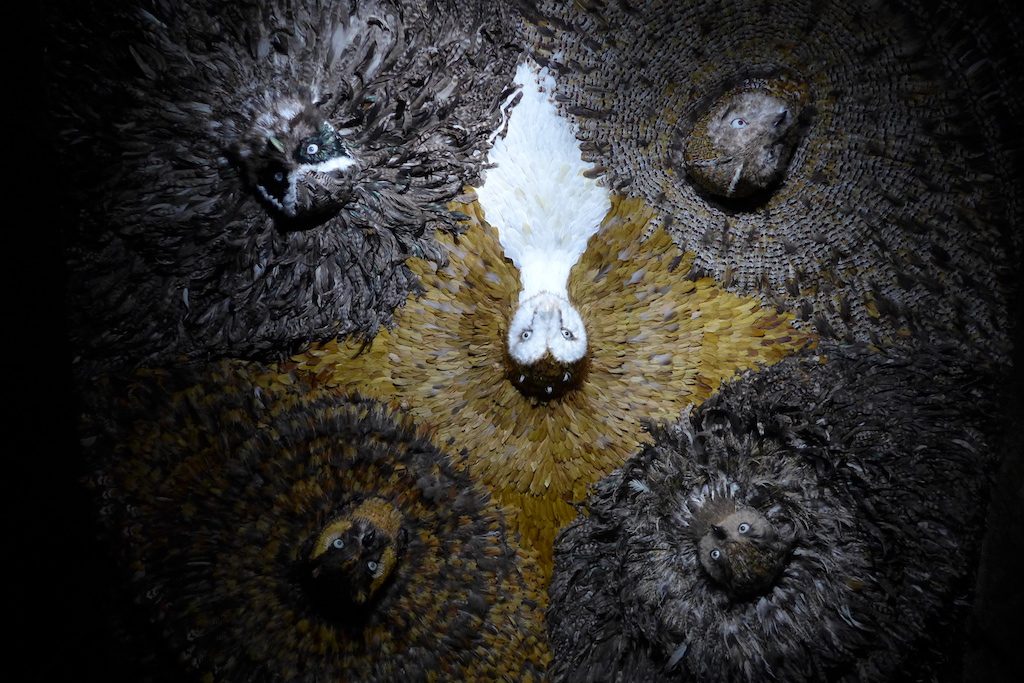 Musee de la chasse et de la nature - La nuit de Diane