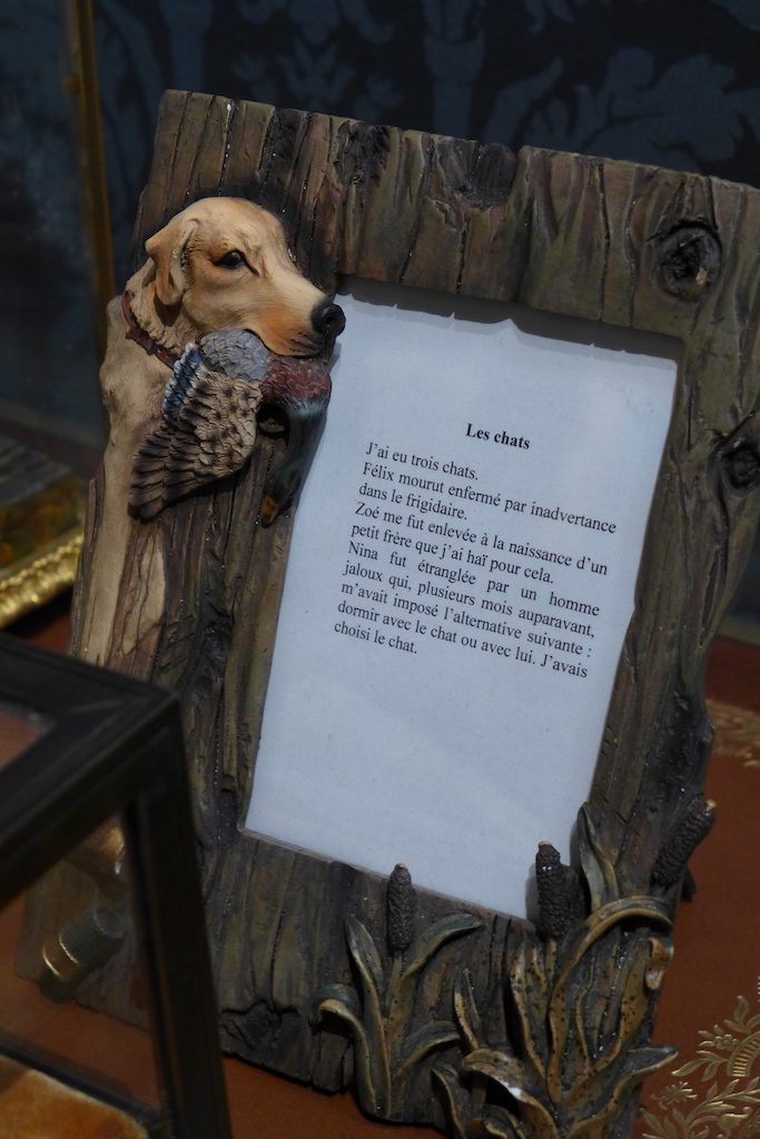 Sophie Calle - Story of the dead cat