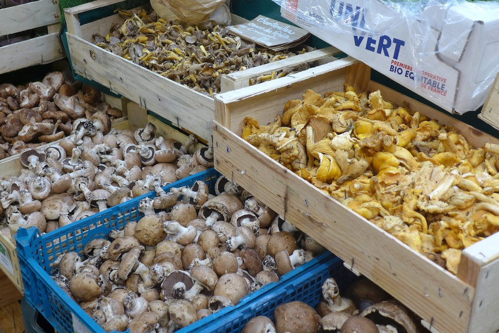 Marche des enfants rouges-Organic Mushrooms