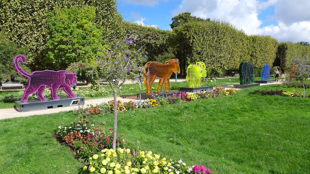 Jardin des Plantes-Paris-Flowers
