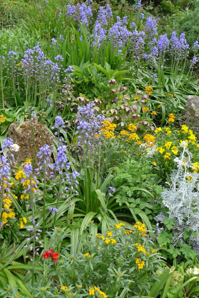 Parc Monceau Paris - Flowers